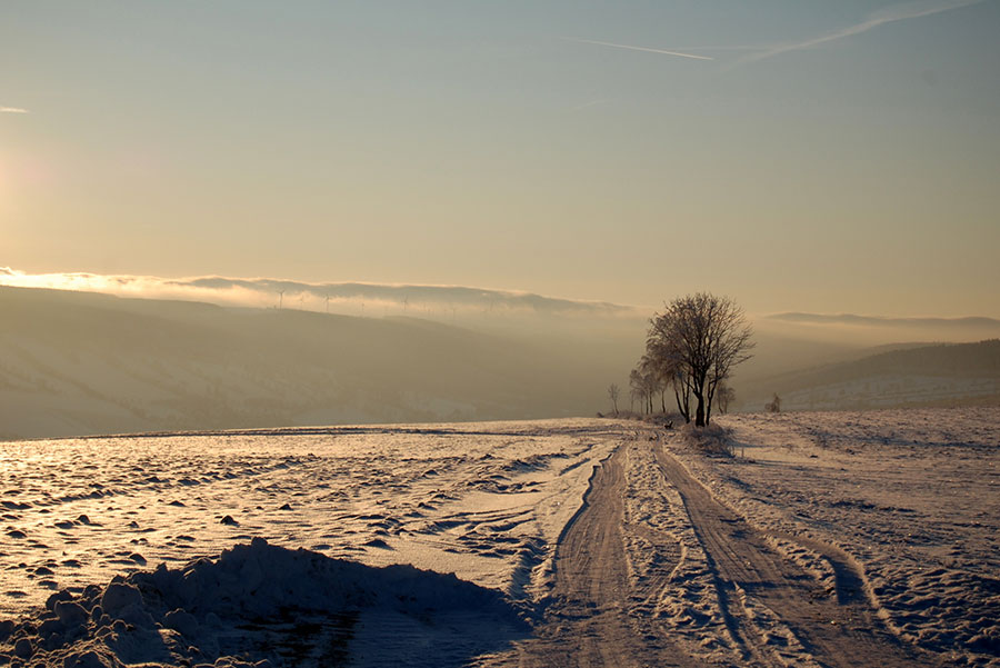 Copyright_By_Ines–Stock.Adobe.com_rittergut_hirschbach_winter
